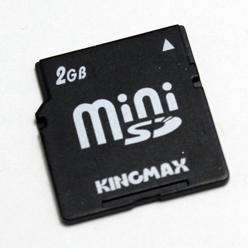 Scheda minisd kingmax per - gb,